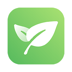 小红书爆款模板