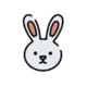 DLBunny