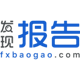 发现报告